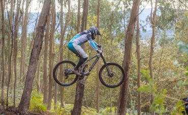 Downhill de regresso à Penha